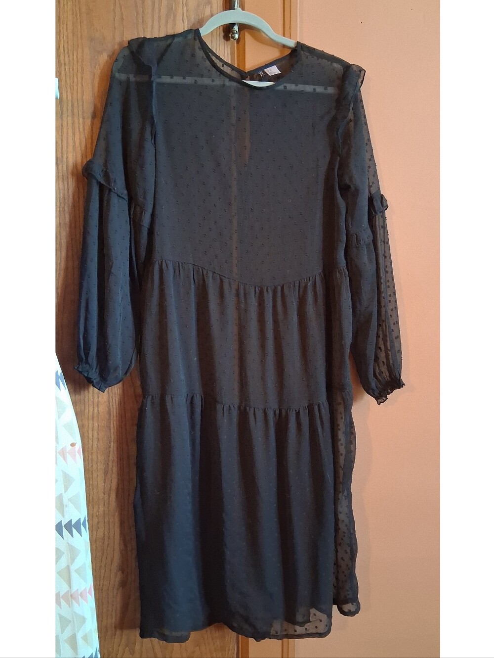 Sheer Swiss Dot Dress